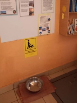 ����: ����� ������-��������
